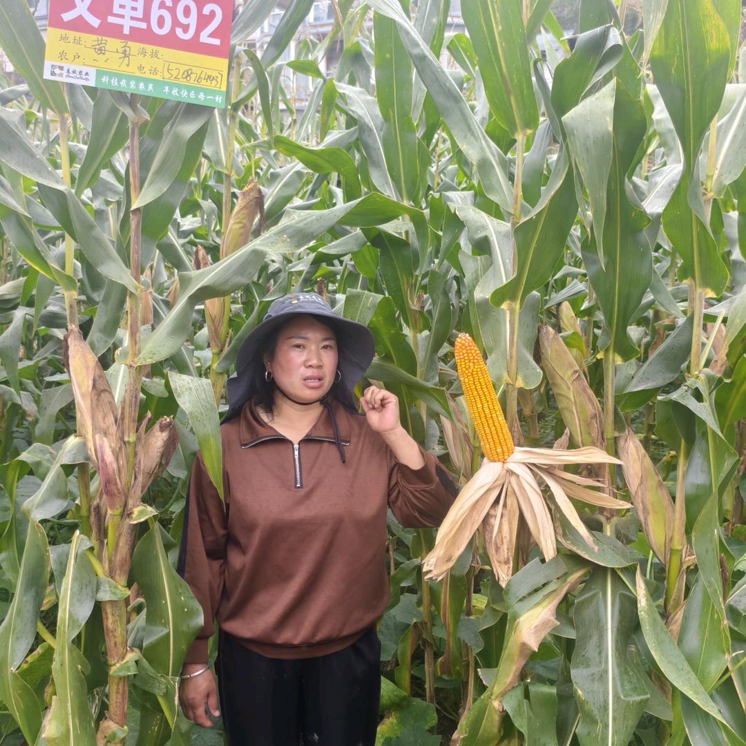 董干刘梅种子农药化肥