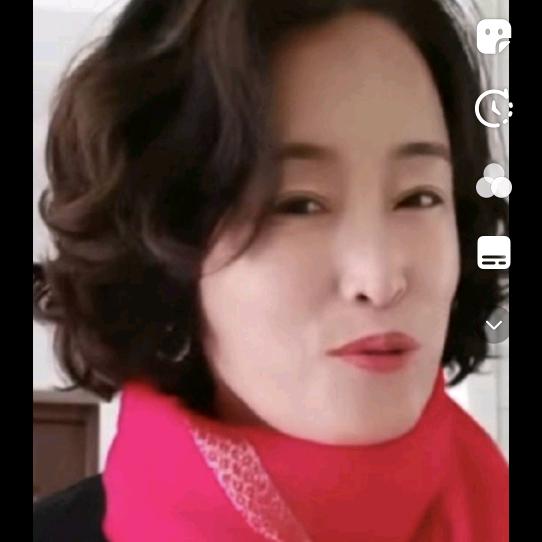 草原上的马兰花