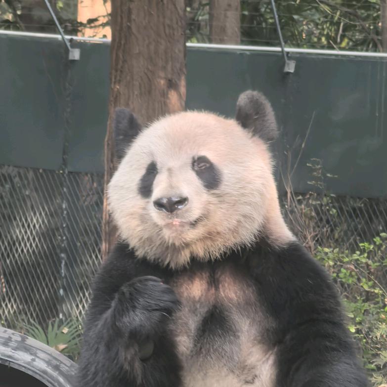 南岸初晴