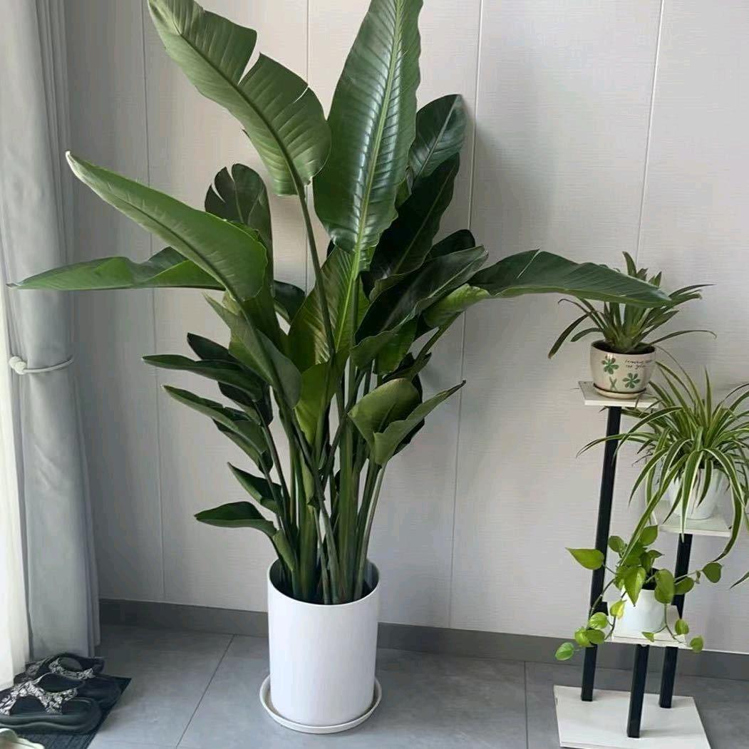 易学文化