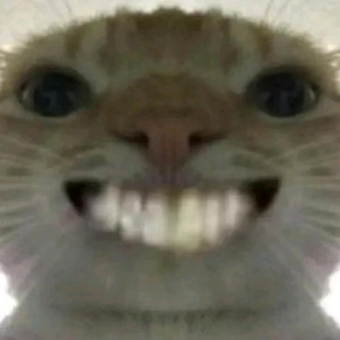 大手子9