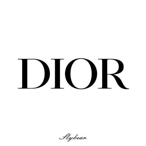 DIOR slybear海外店
