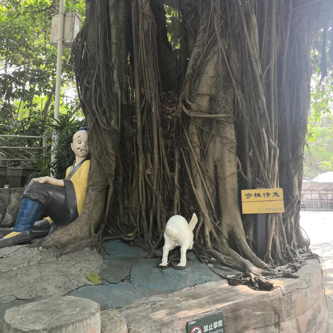 外架辅材一站式批发