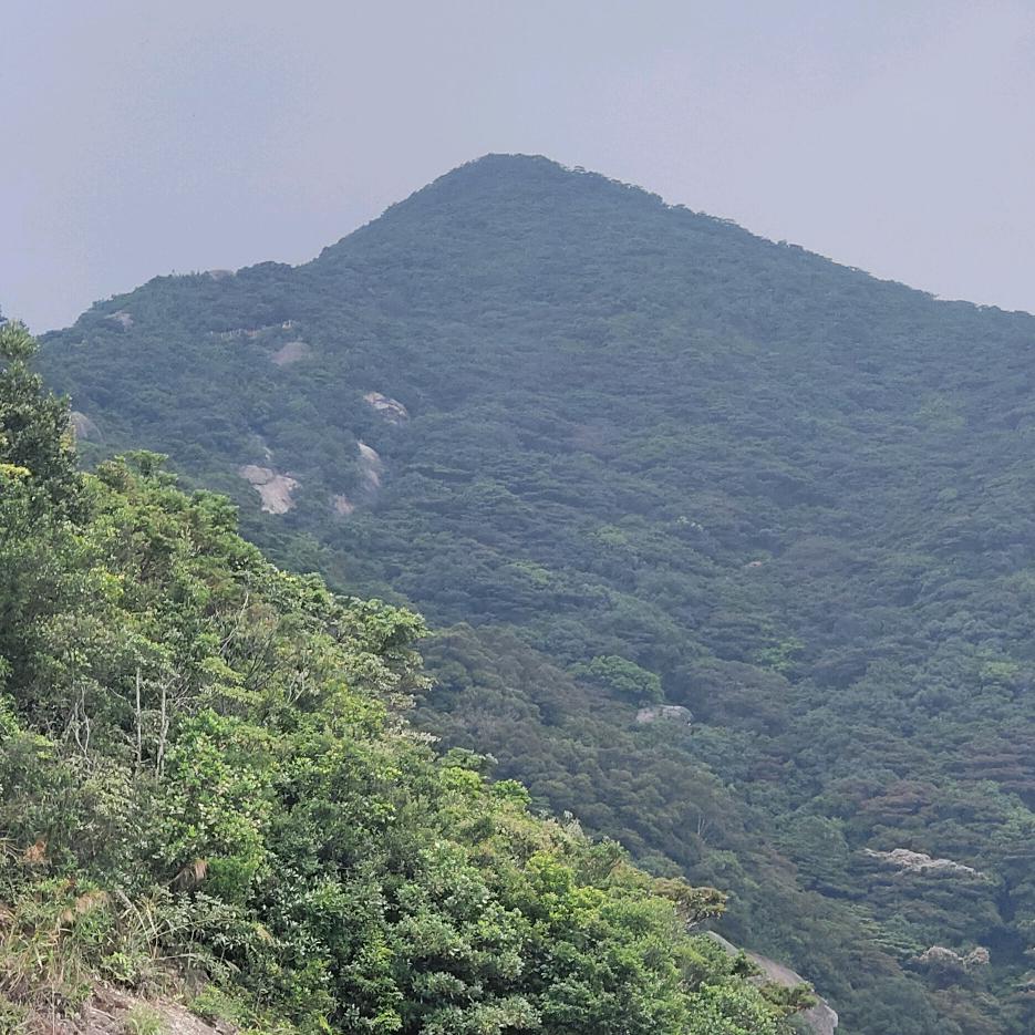 祥瑞之物