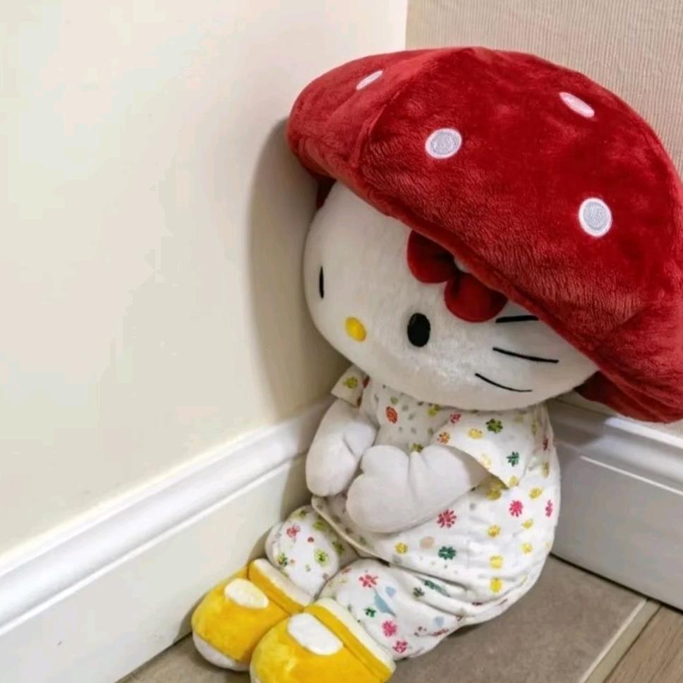 ٩(安๑^o^๑稳)۶