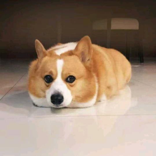 姜心比心
