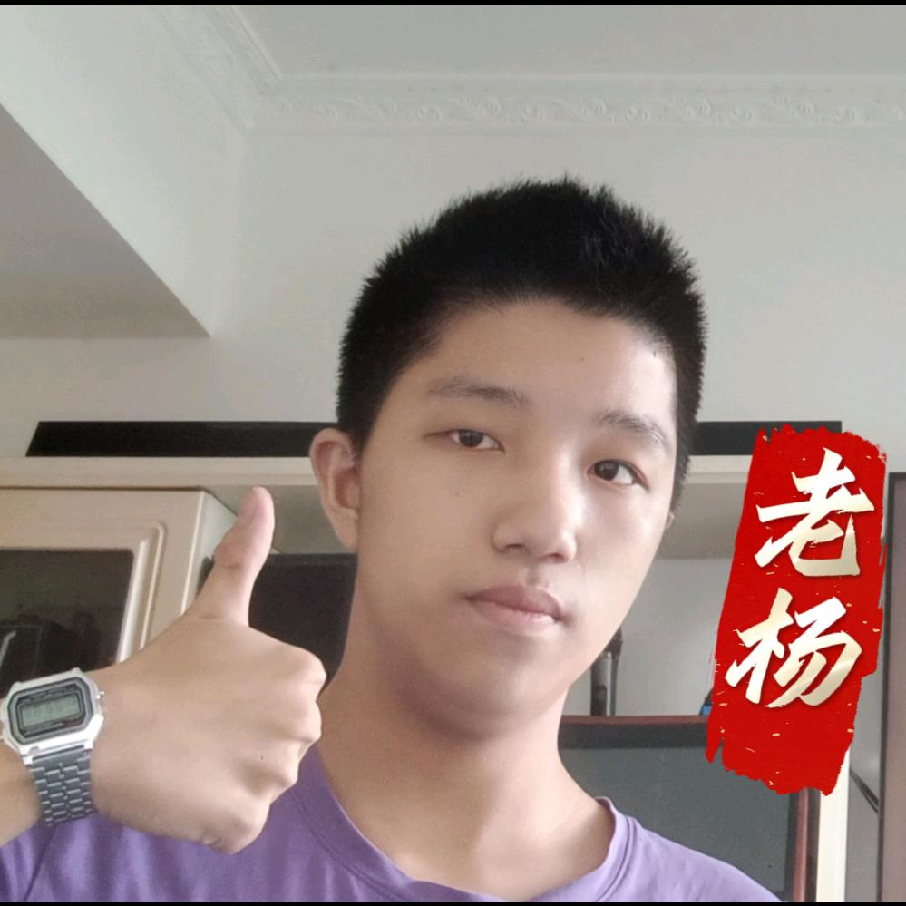 老杨