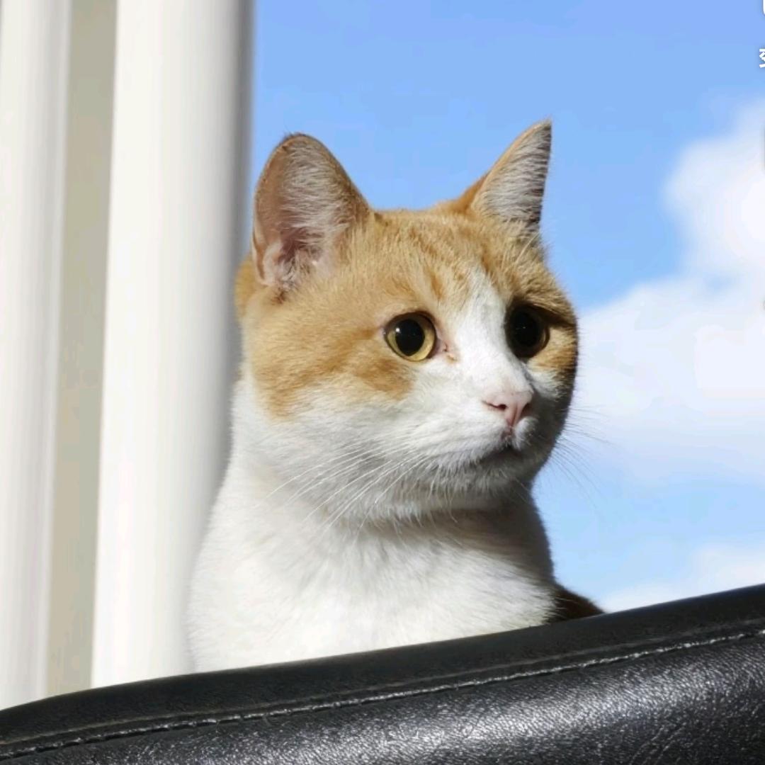 AL໊ₒ多财ᨶ႒ᩚ多亿໑ຼ