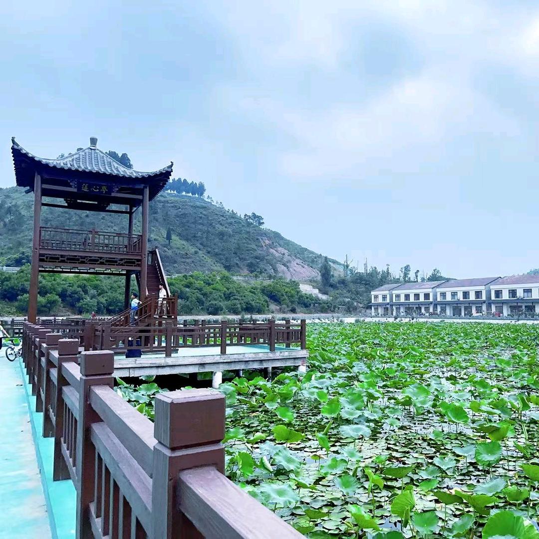 💞ꦿ：封心的雪 💞ꦿ