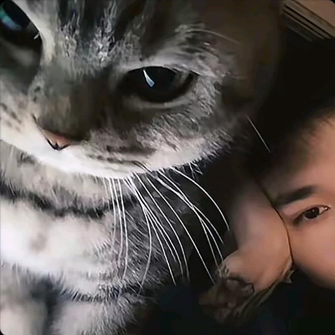 给我一刀乐