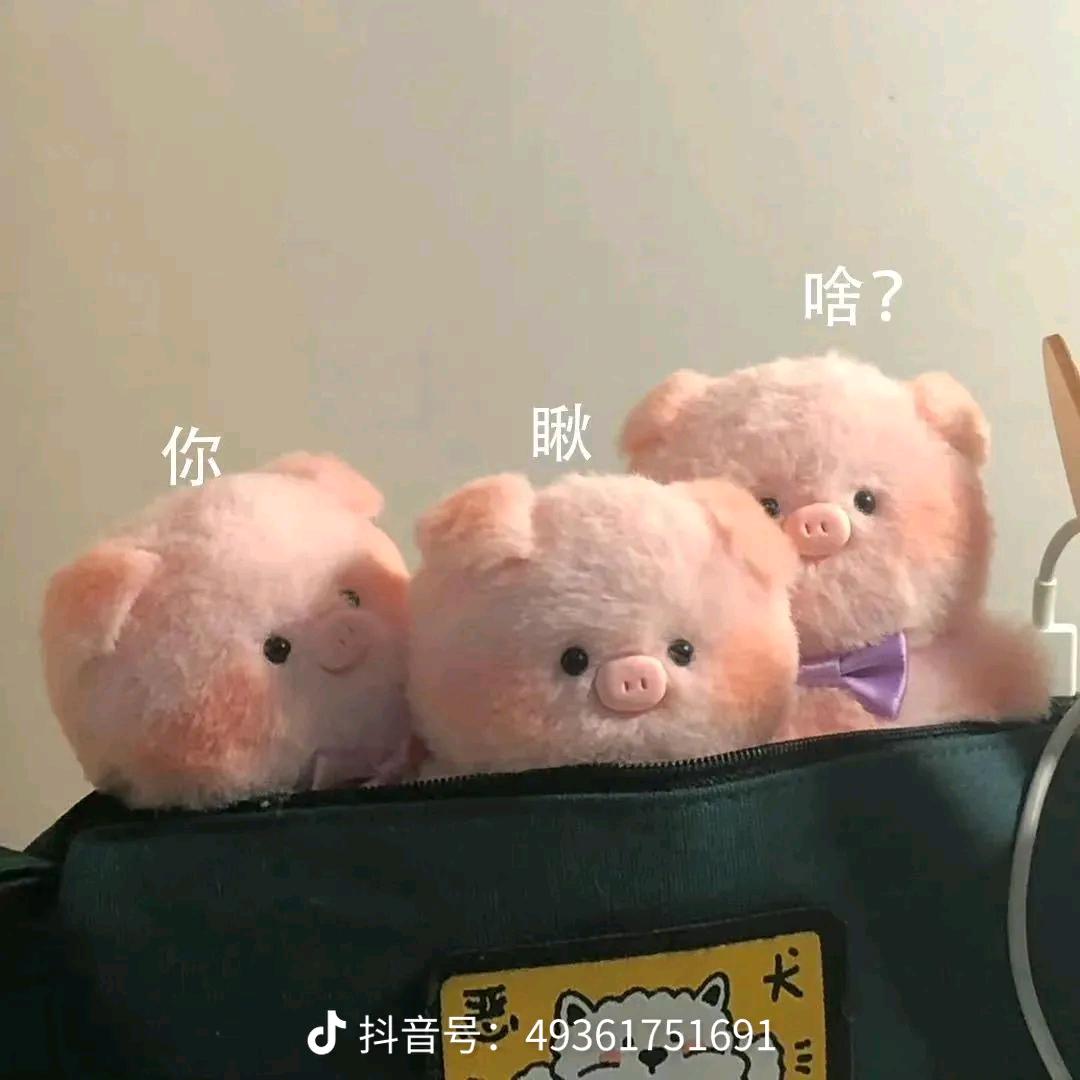 三只小猪