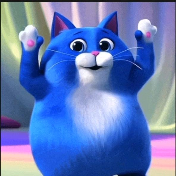 猫猫小剧场
