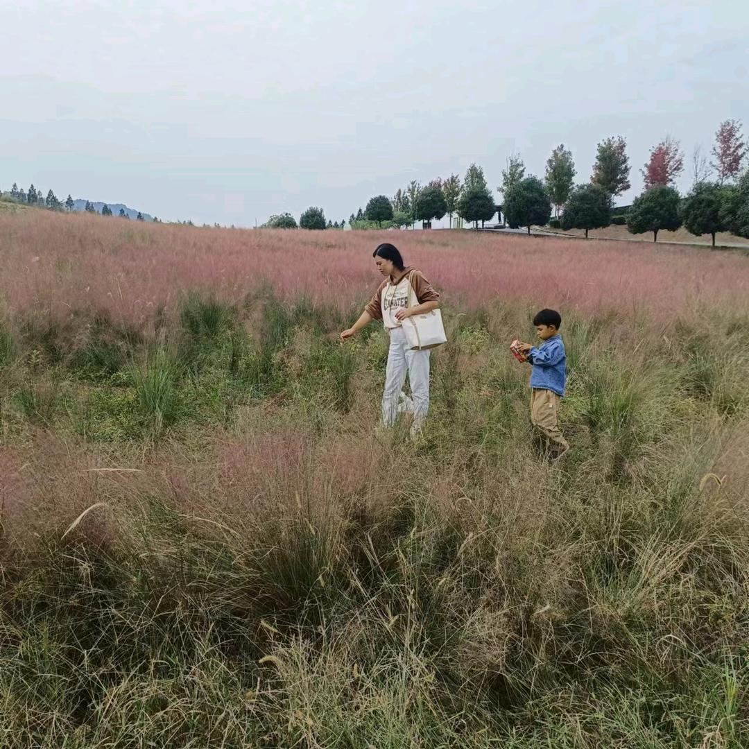 晨宇