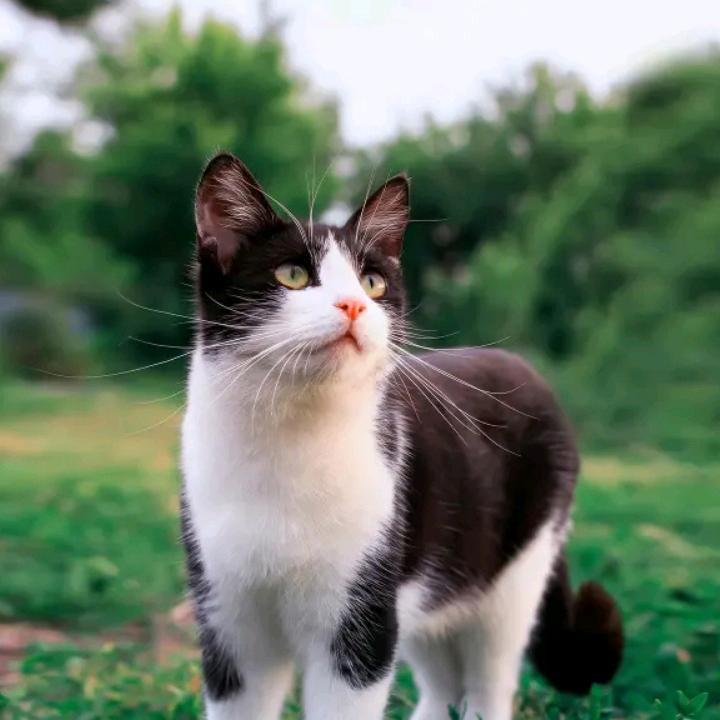 zghm