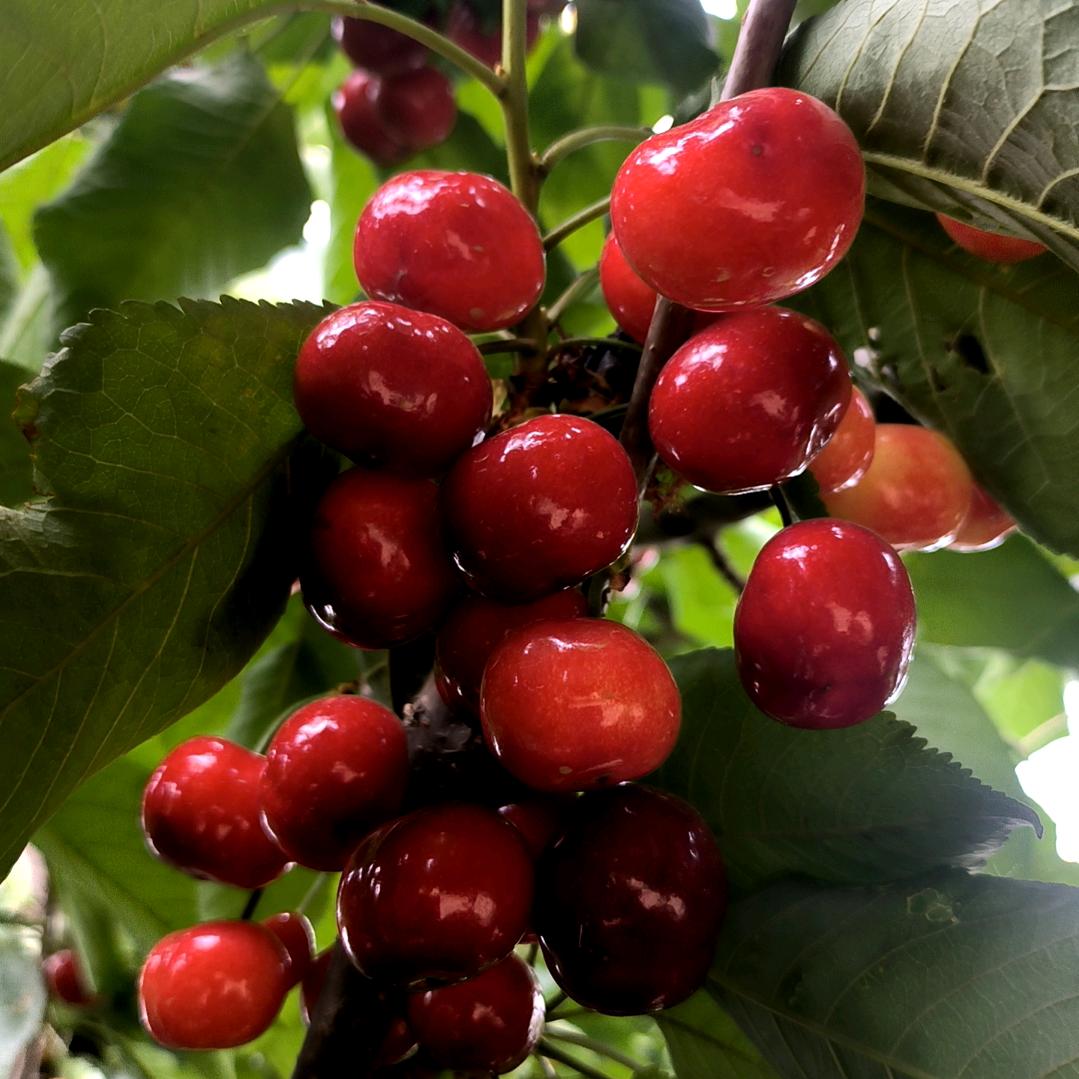 千人追不如一人疼㇏，万人宠，不如一人懂|