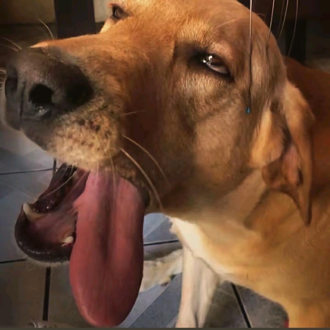 来啦งง