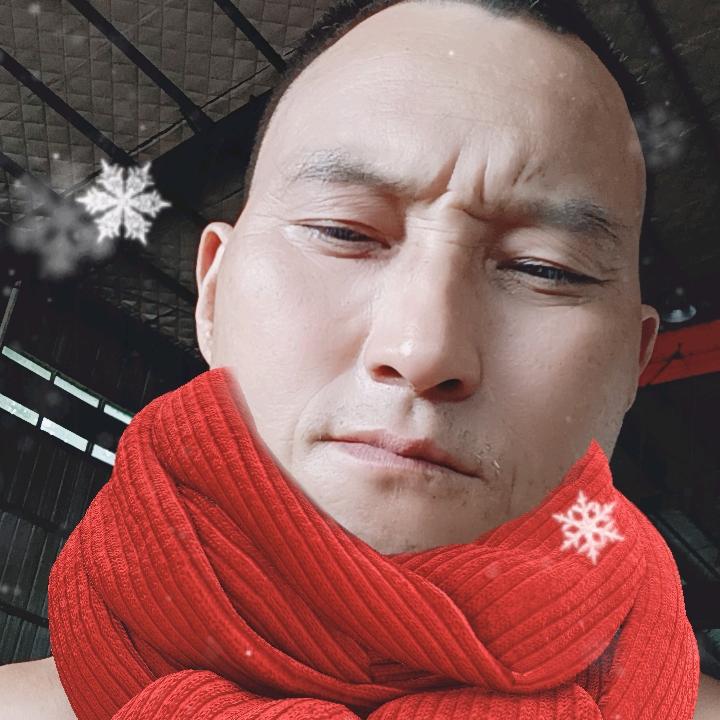 ，受伤的男朋友寻找真爱