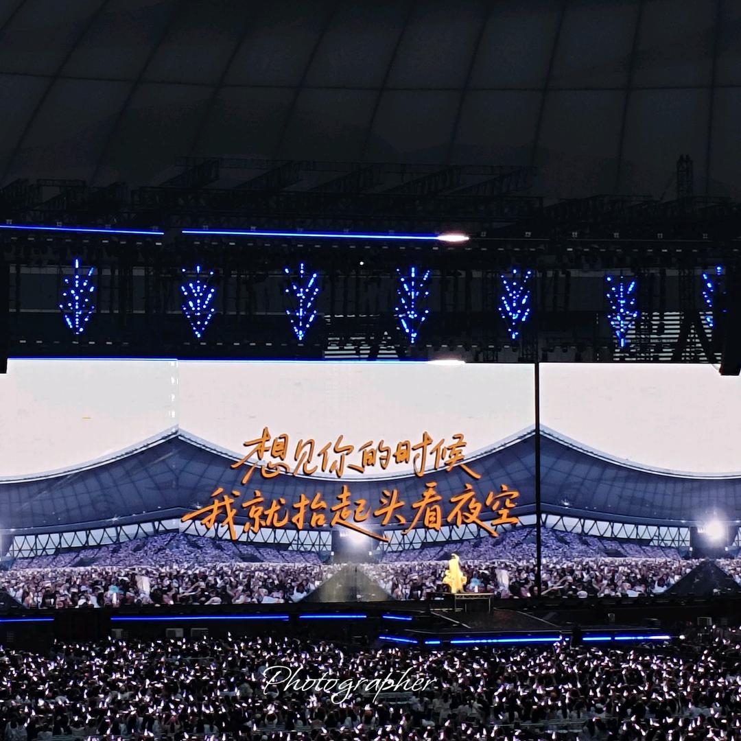 向日葵花爱左向🌾