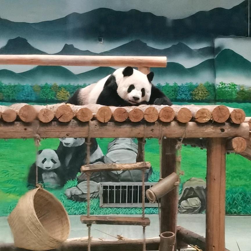 李