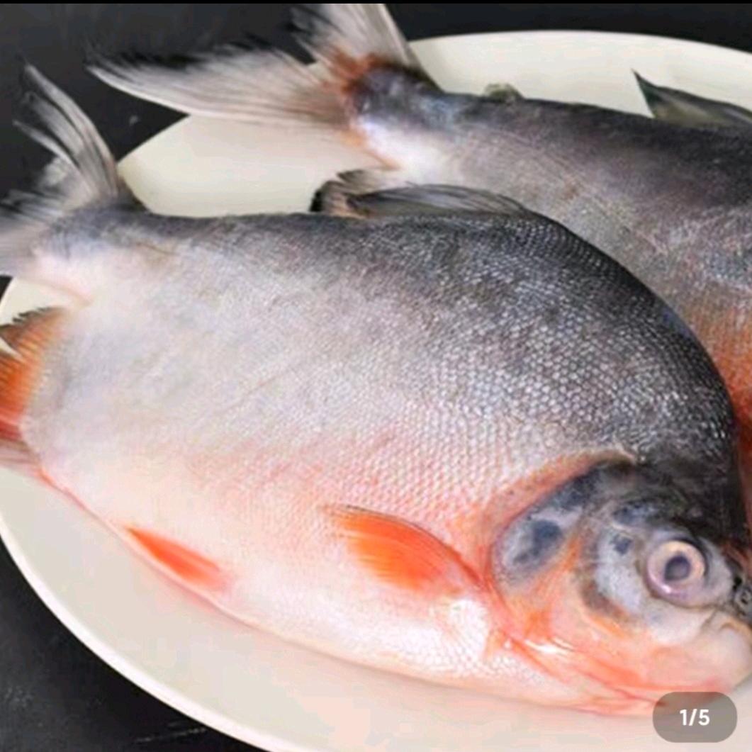 四姐海产（只做精品）