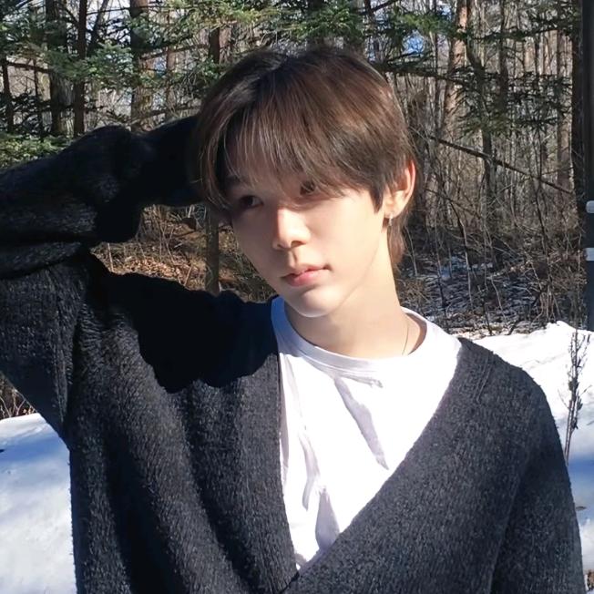 柚子重度爱好者🦦