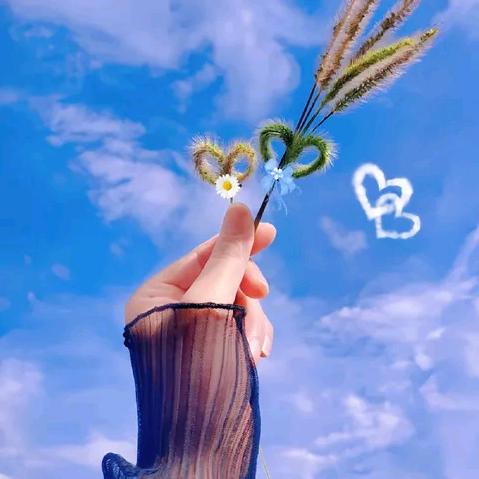 无名xx