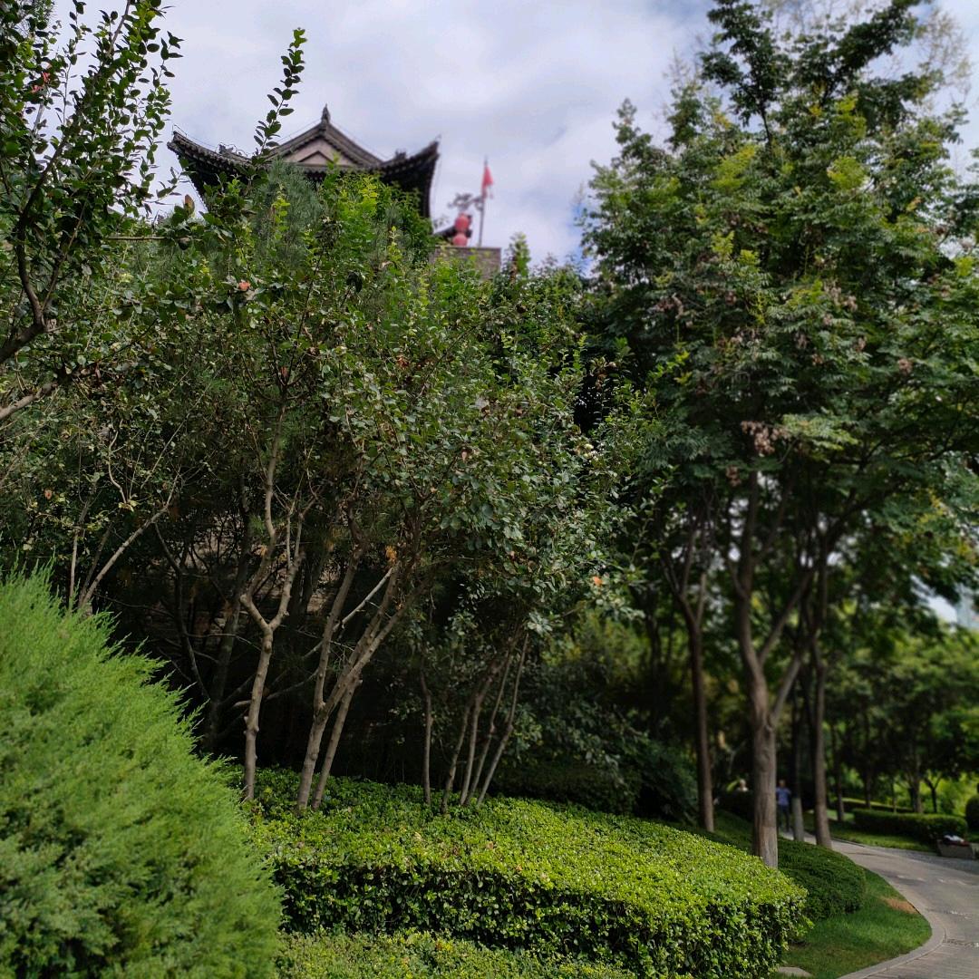 大山