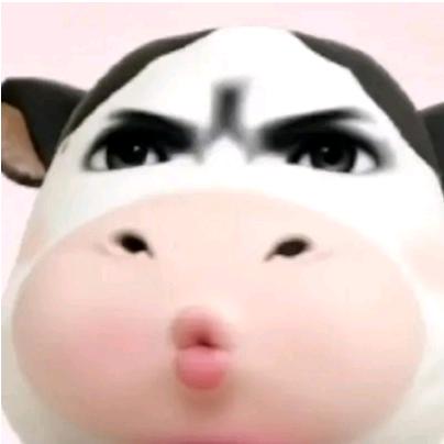 哞哞mua
