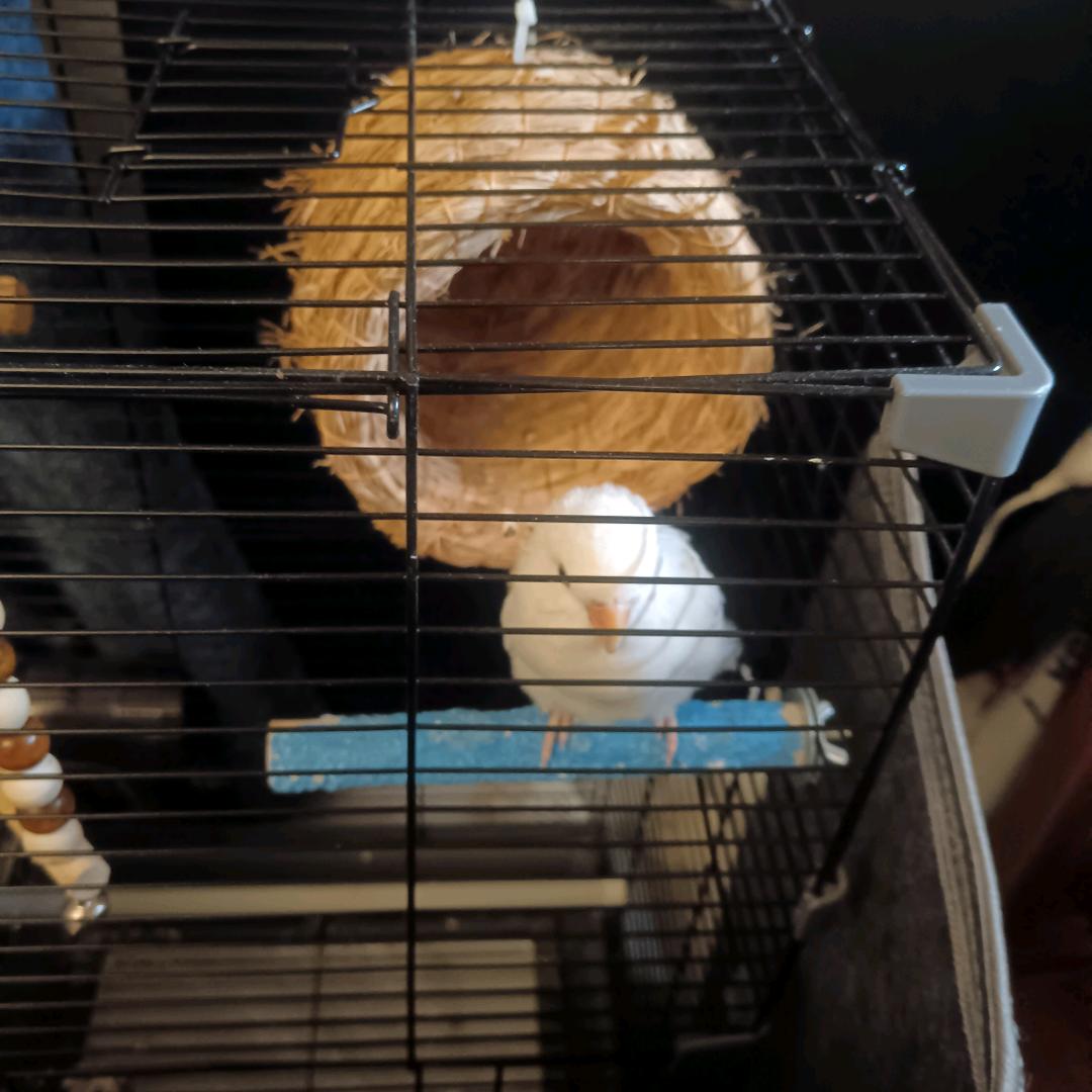 我命由我不由天