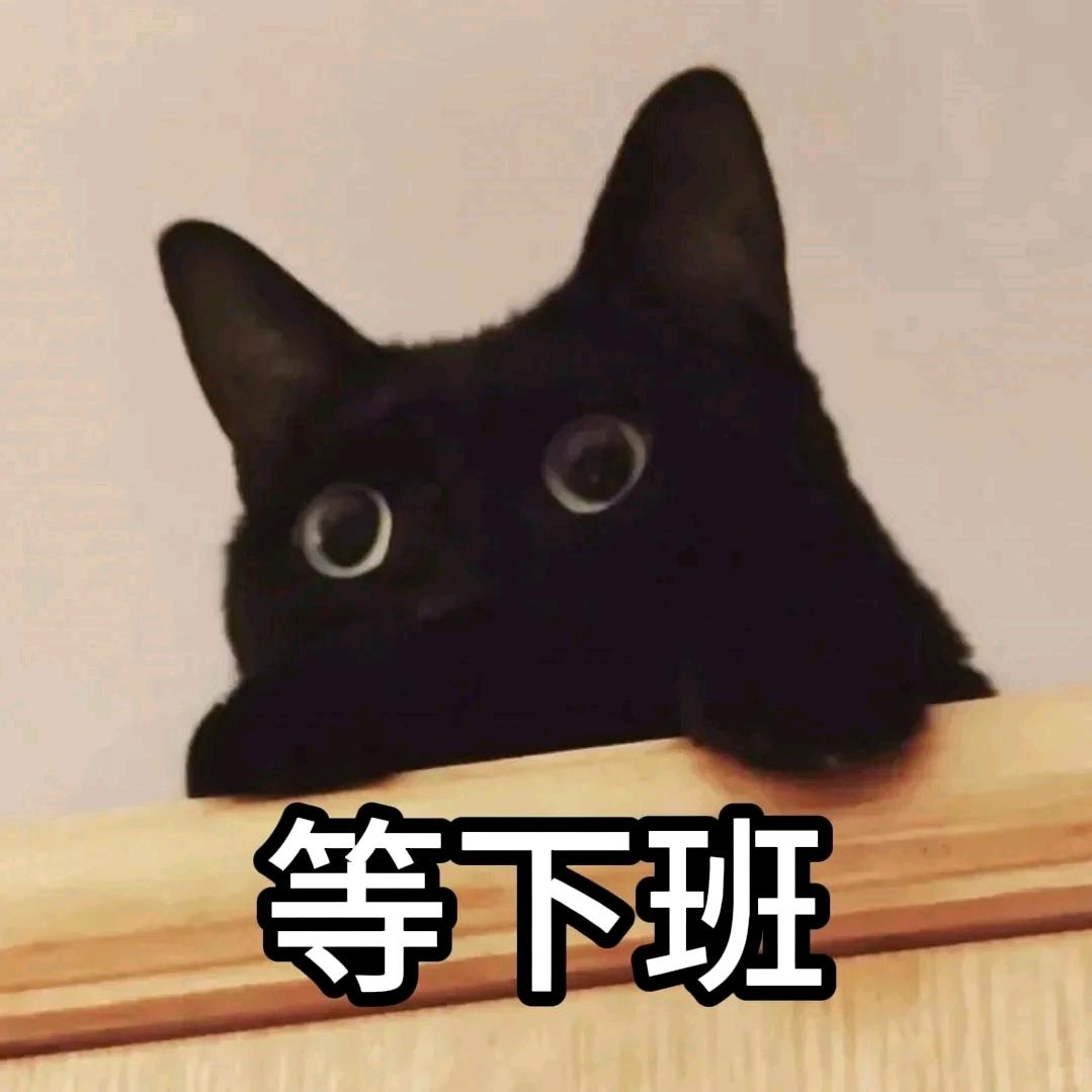 冰之夏