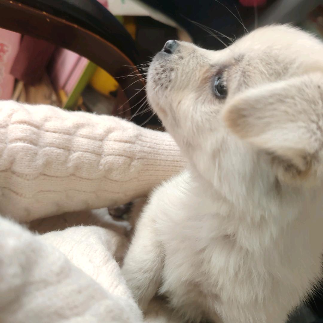 ᭄ཽ࿆财色ᨶ႒ᩚ双收ᥫᩣ໌