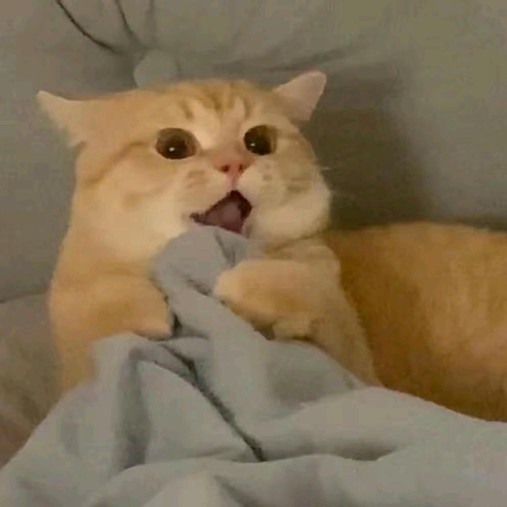点