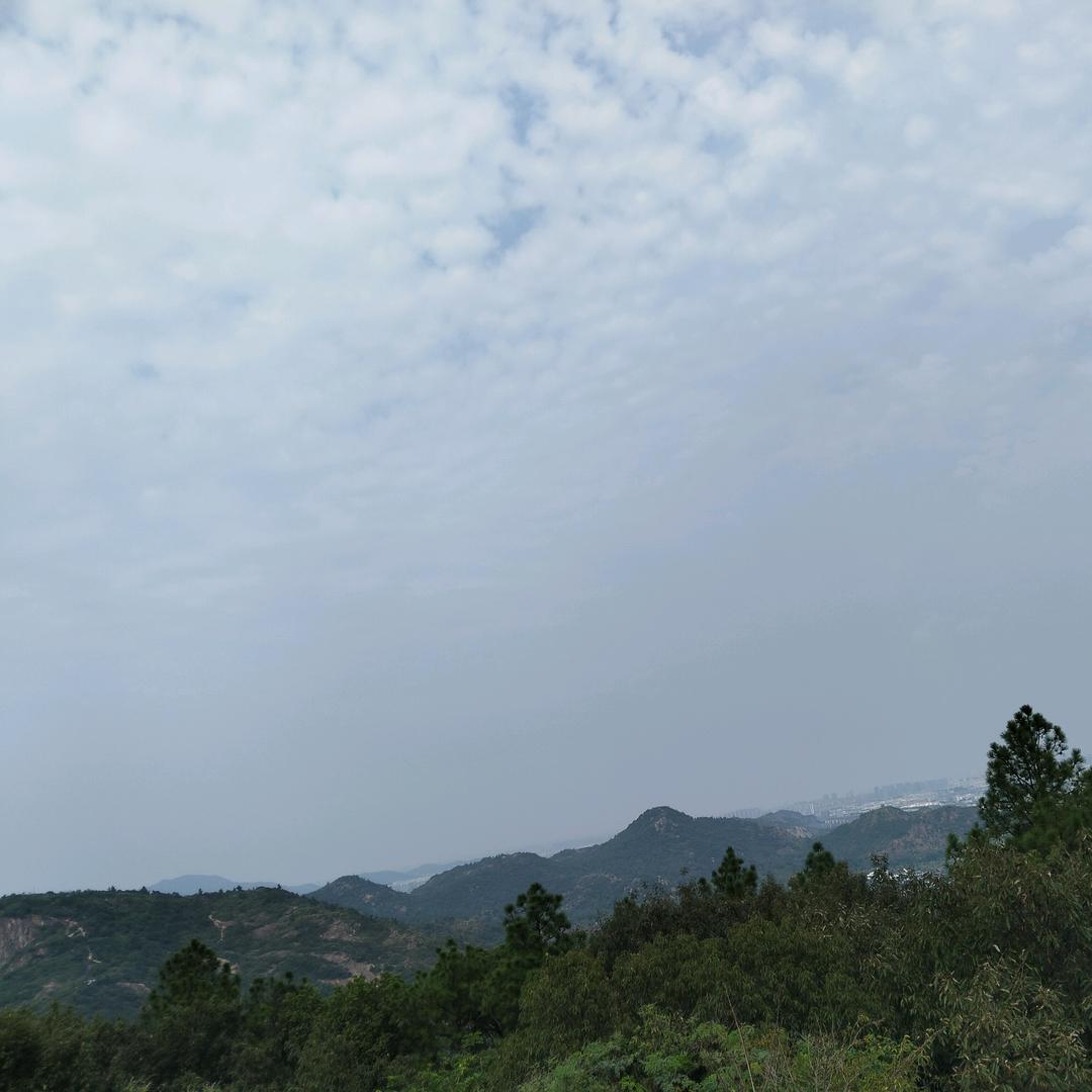 昨日乱心多烦忧