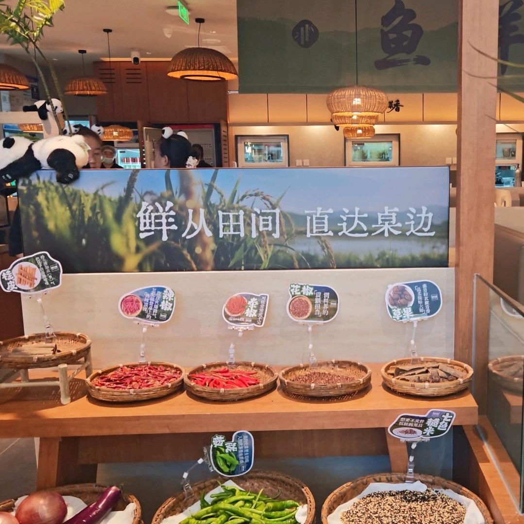 朝花里～小喵😺