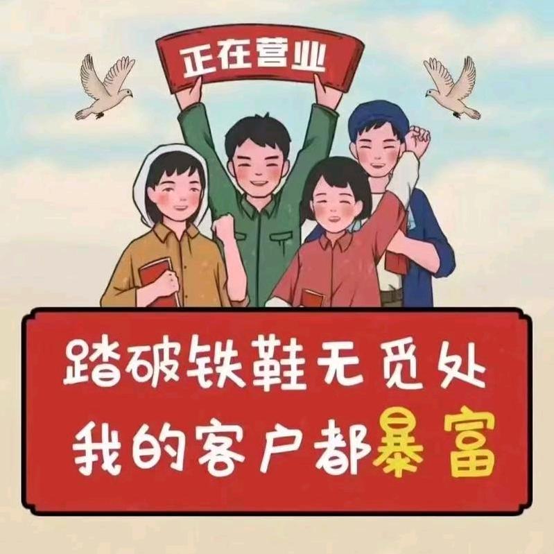 临洮宏焰煤炭