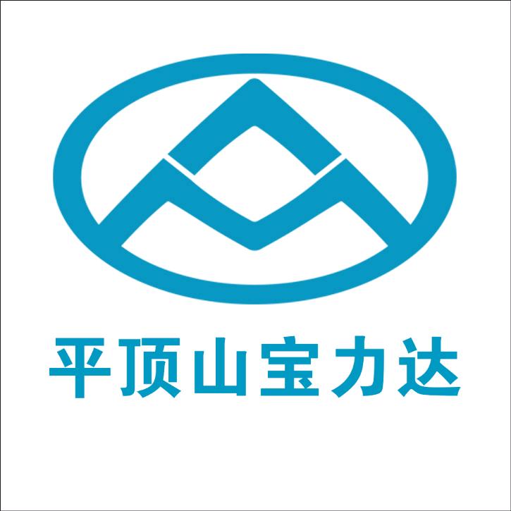 大通轻客平顶山宝力达