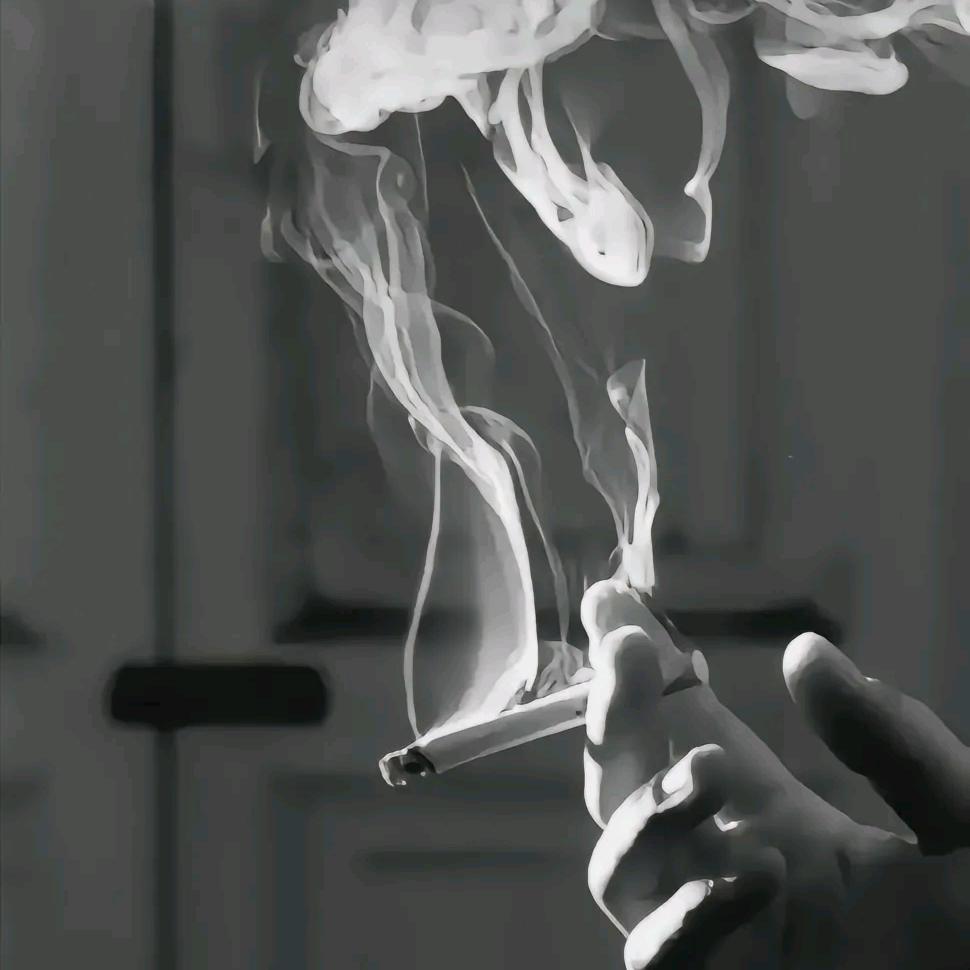 🚬᭄时来🍻运转࿐