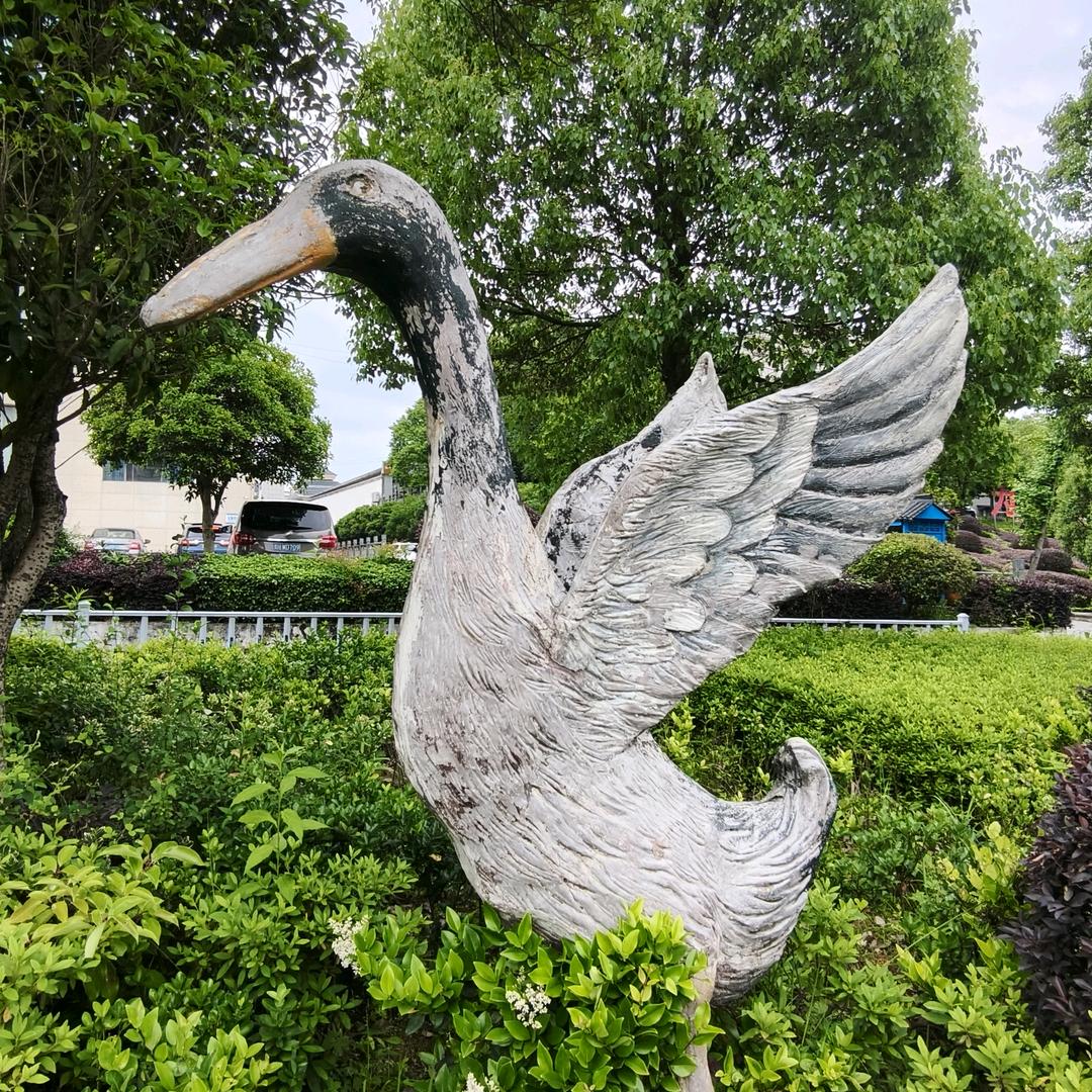 雪莲花