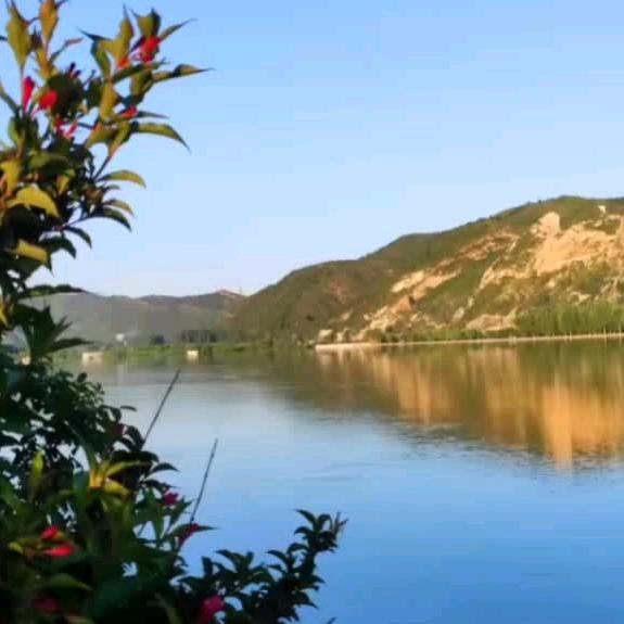 岁岁年年