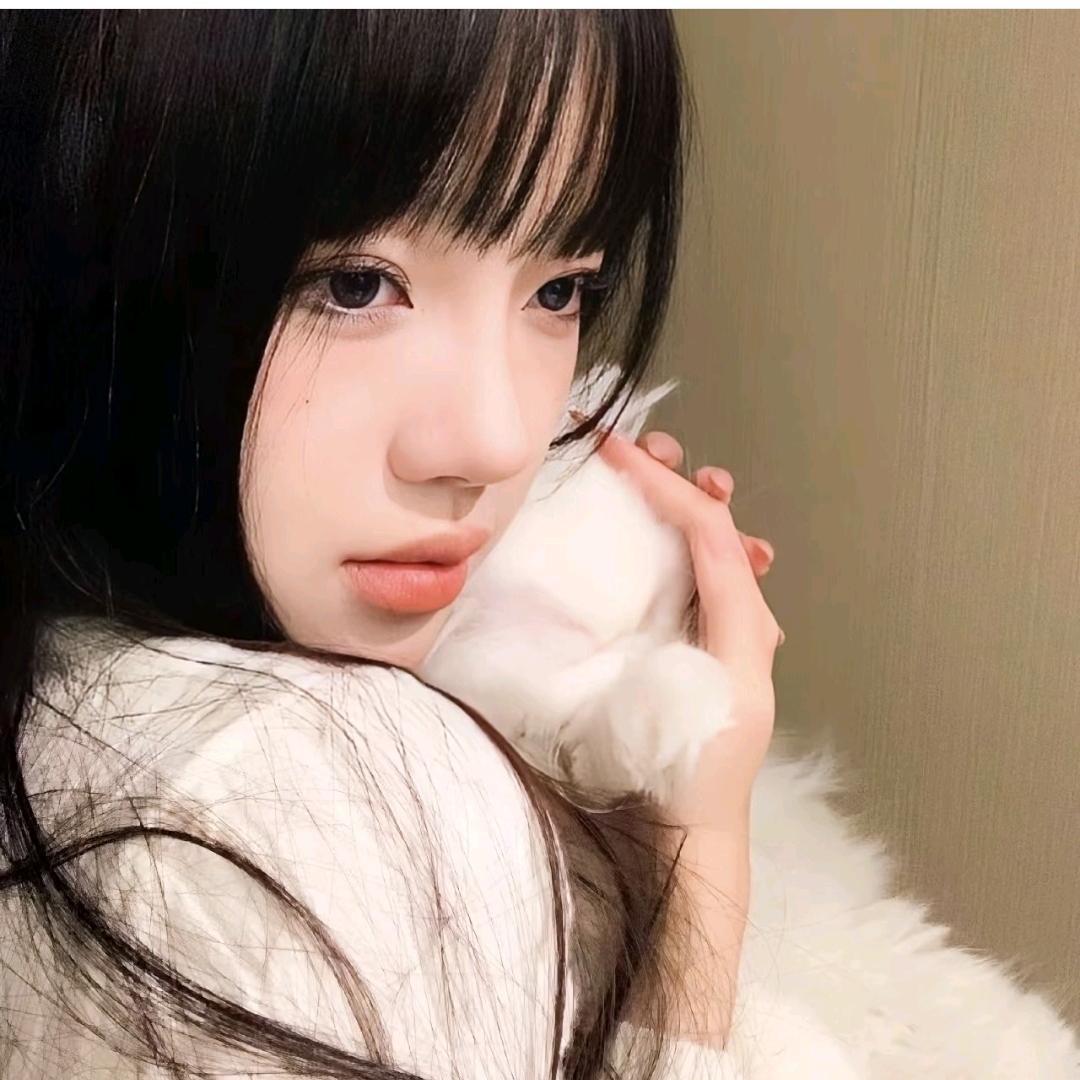 喵喵犟