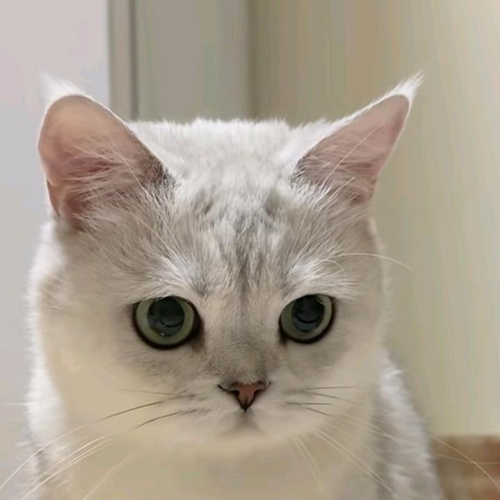 秋天的冬天