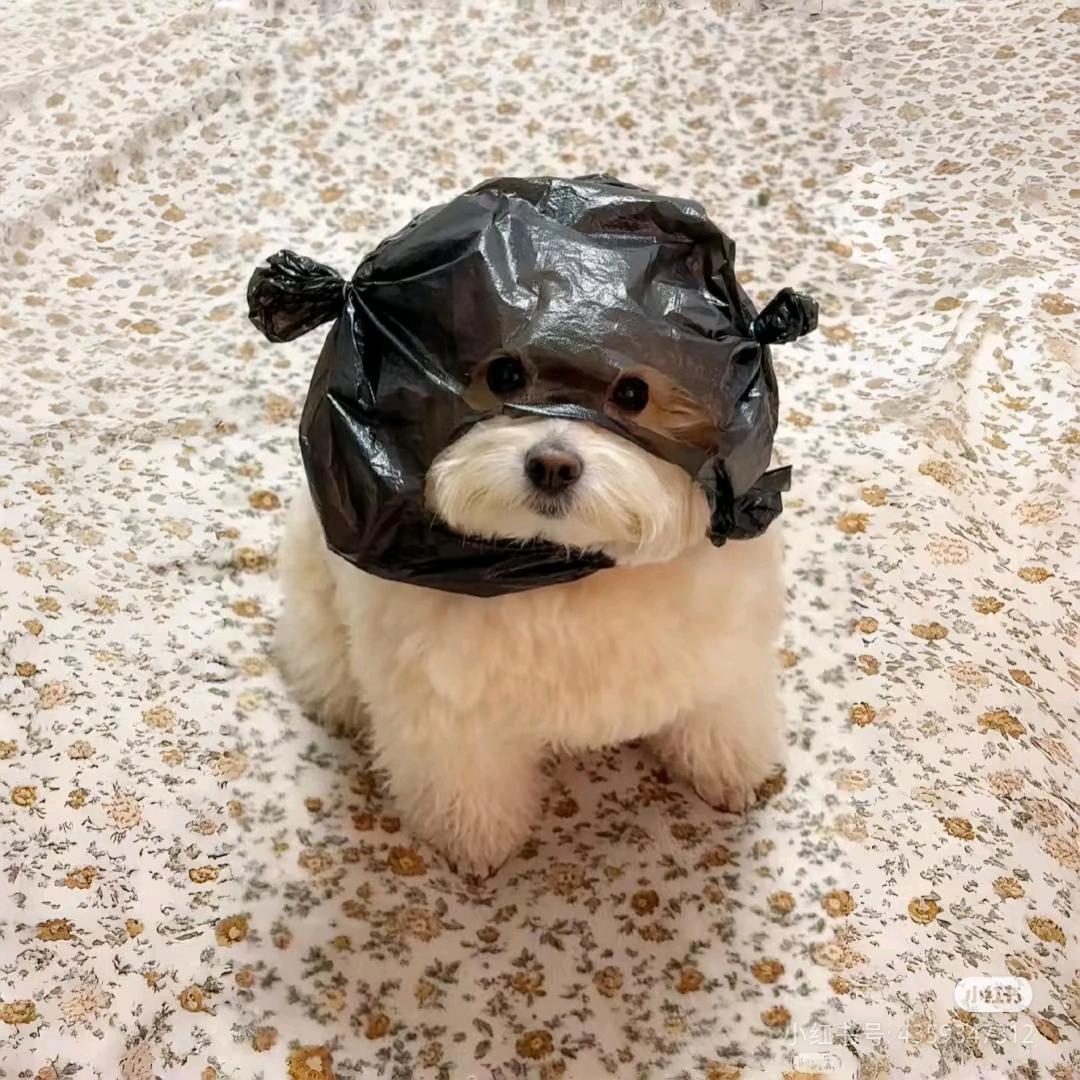 可爱