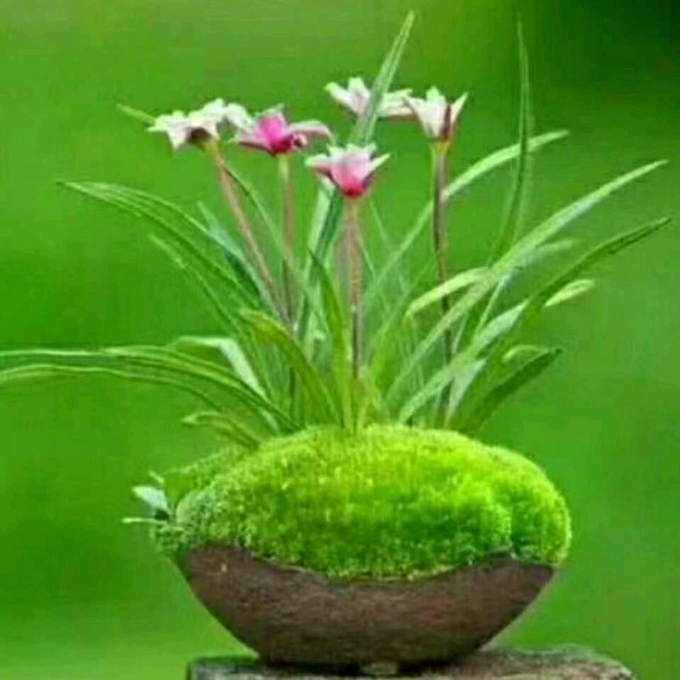 等你好久。