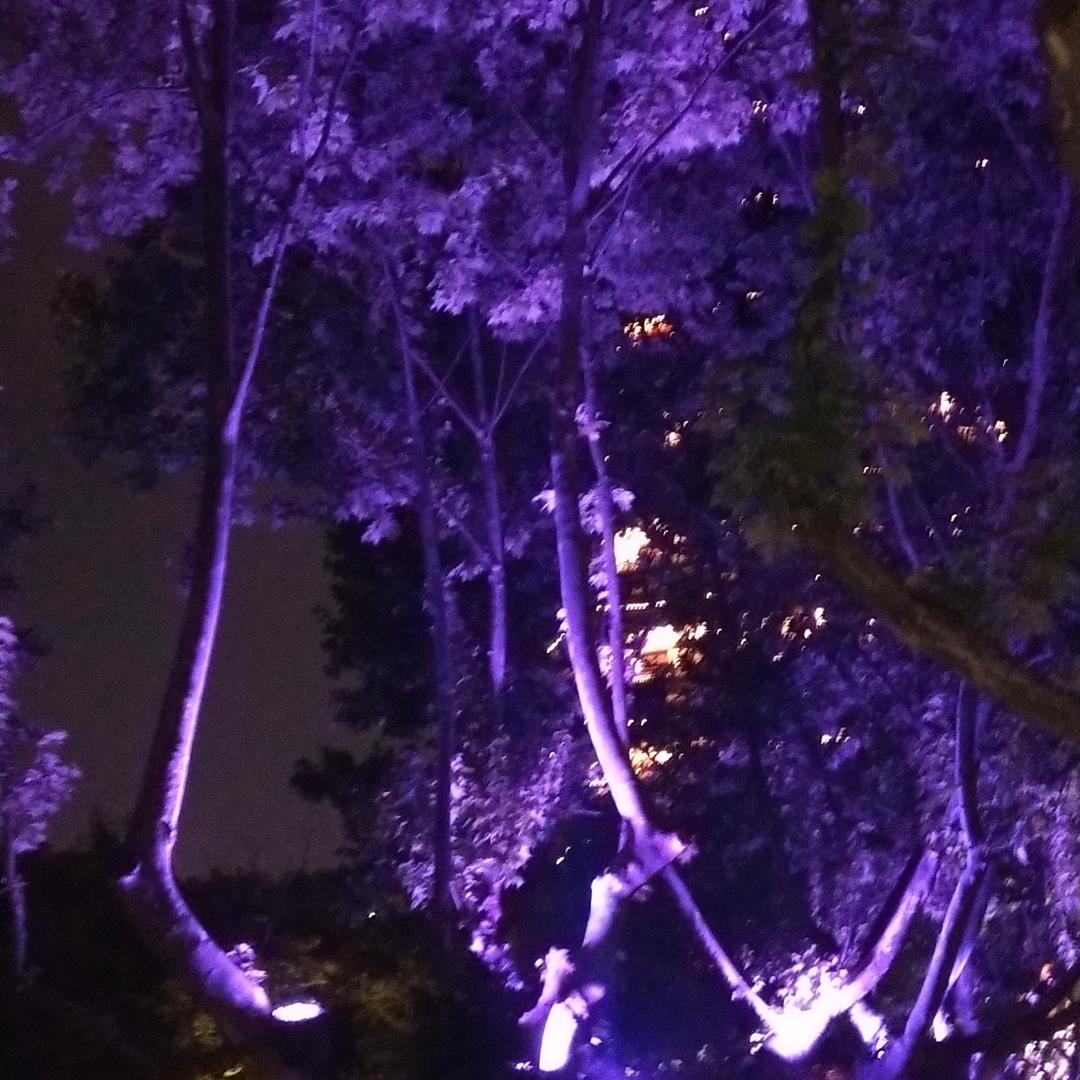 紫微星