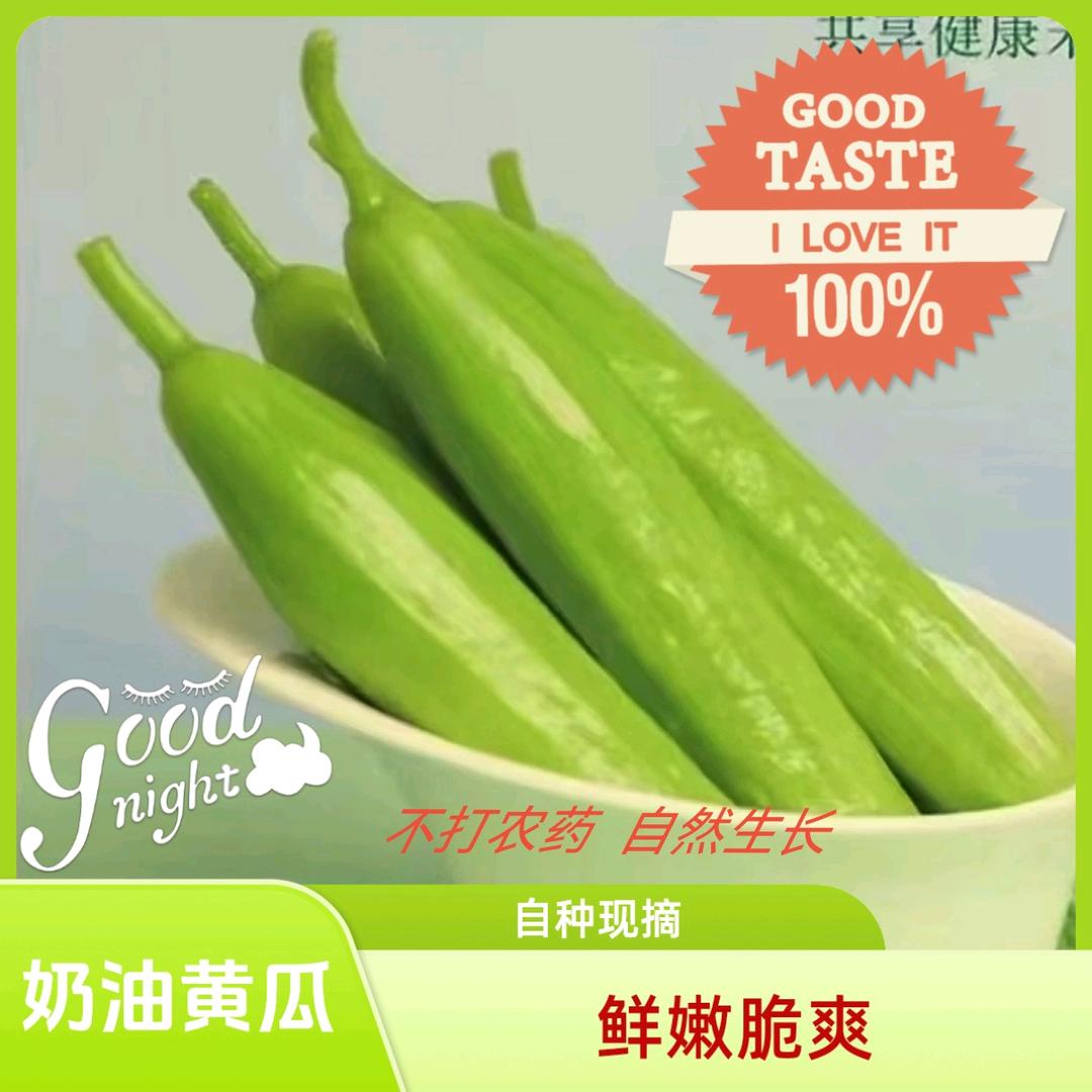 达龙种植农场蔬菜