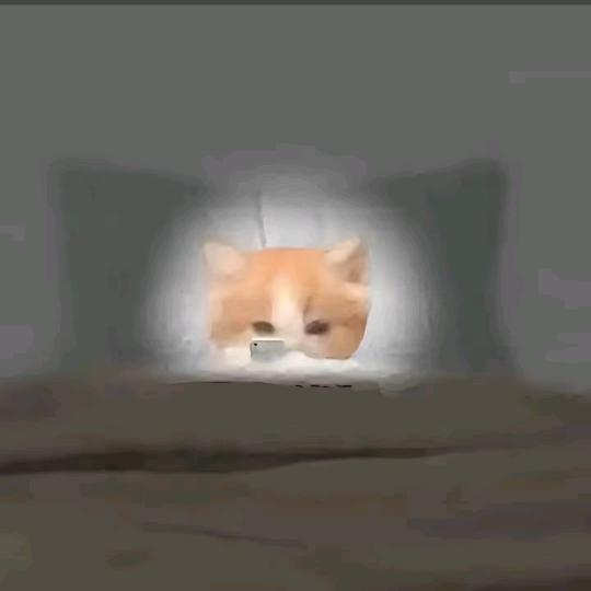 殇天鉴花