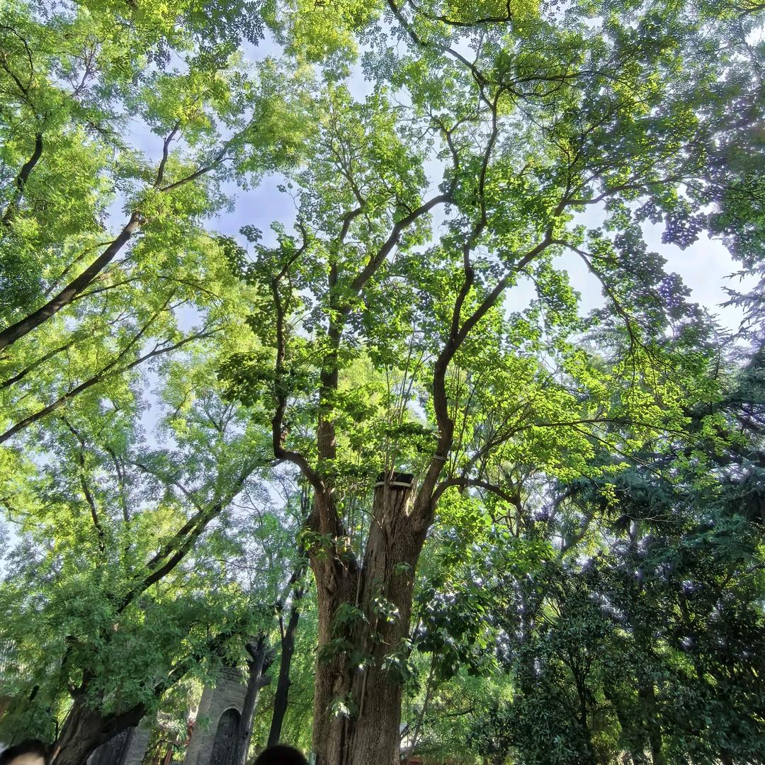 明天尔