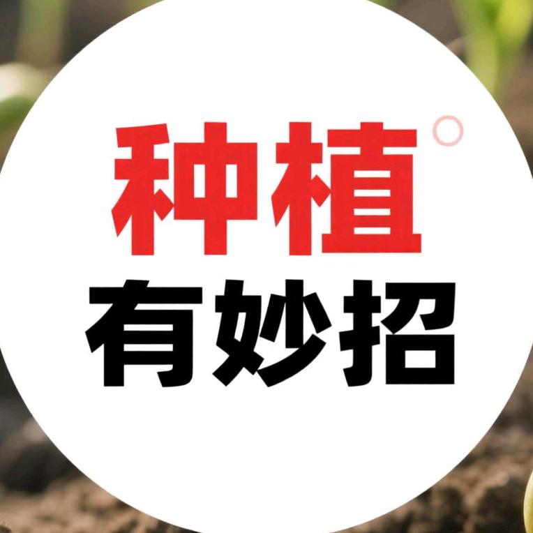 种植有妙招