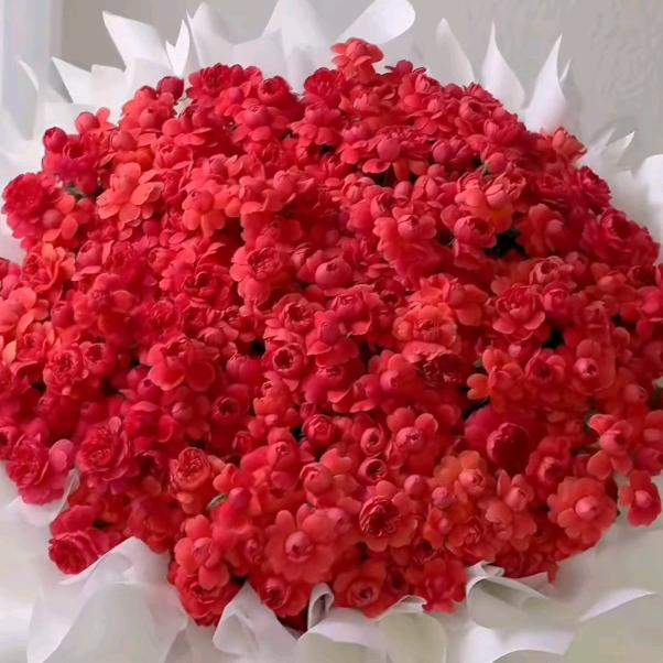 唐艳🍧🍱🥤🍷