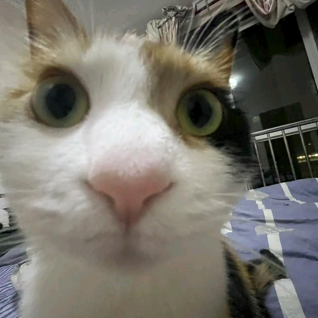 一杯冰美式☕️